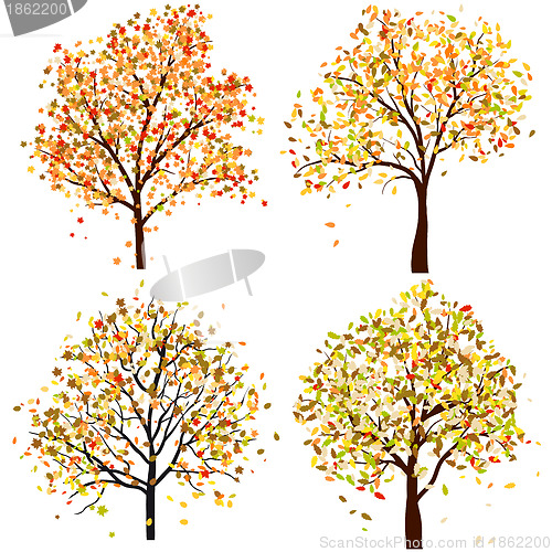 Image of Set of four autumn tree