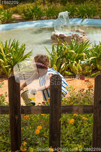 Image of Watering the plants