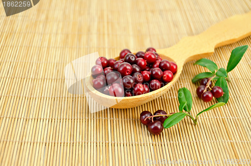 Image of Lingonberry in a spoon on a bamboo mat