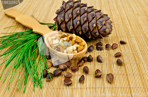 Image of Nuts and cone of cedar on a bamboo mat