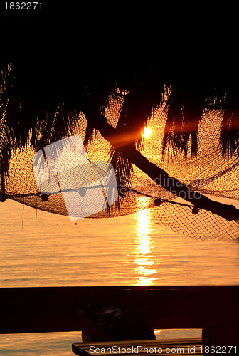 Image of Wonderful sea sunset with palm tree silhouettes and fishing nets