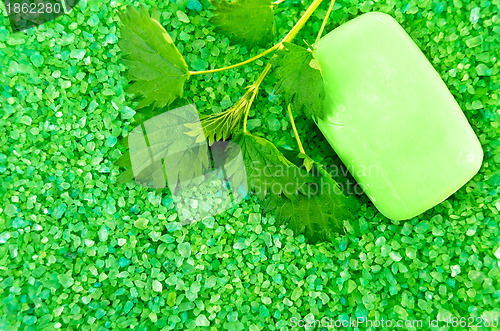 Image of Salt of the green with soap and nettles