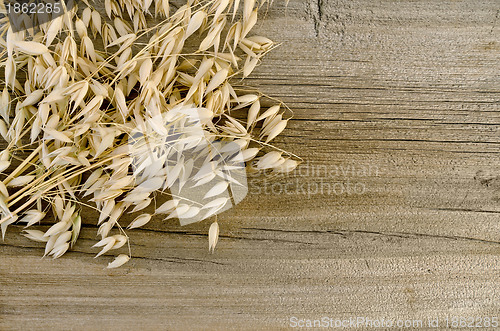 Image of Stalks of oats on an old wooden board