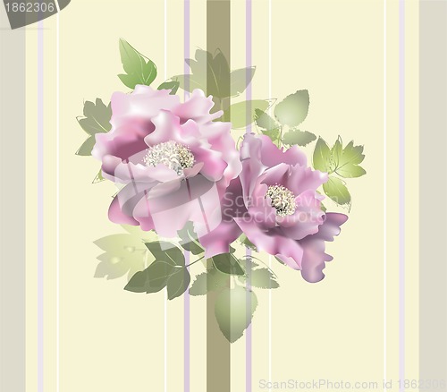 Image of Seamless background from a flowers ornament, fashionable modern wallpaper or textile.    Illustration  peony.