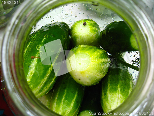 Image of Cucumbers prepare for preservation