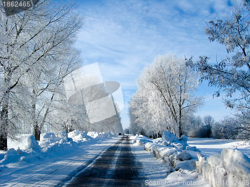 Image of Winter landscape in a forest