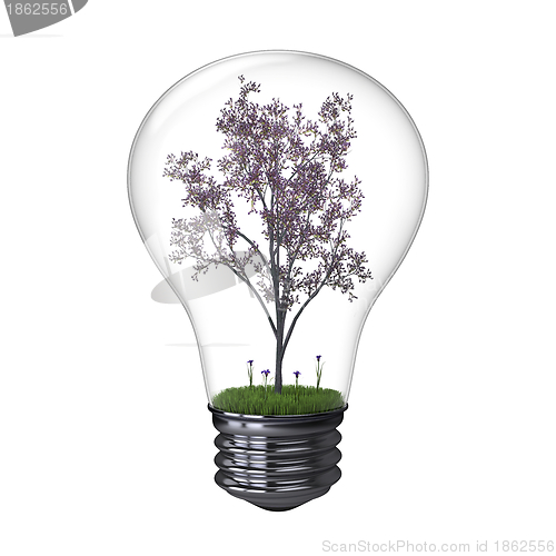 Image of Blooming tree inside lightbulb