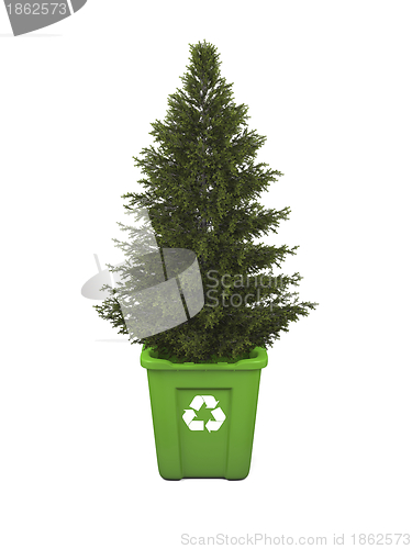 Image of Tree in recycle bin