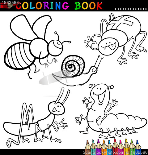 Image of Insects and bugs for Coloring Book or Page