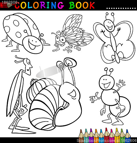 Image of Insects and bugs for Coloring Book or Page