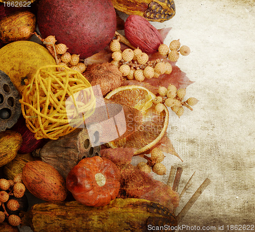 Image of Fall Background
