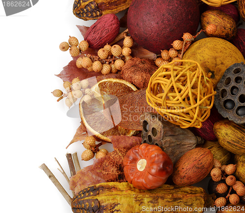 Image of Fall Background