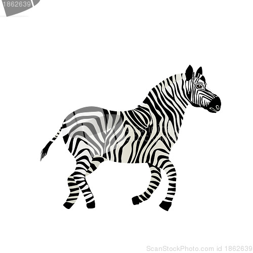 Image of Running zebra