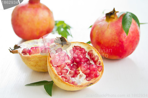 Image of Pomegranate