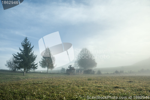 Image of misty scenery