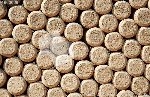 Image of Wine bottles corks