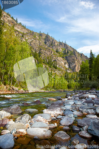 Image of Altai river Kumir