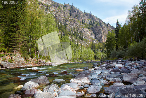 Image of Altai river Kumir