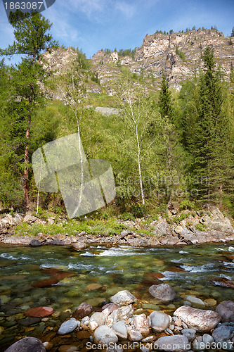 Image of Altai river Kumir