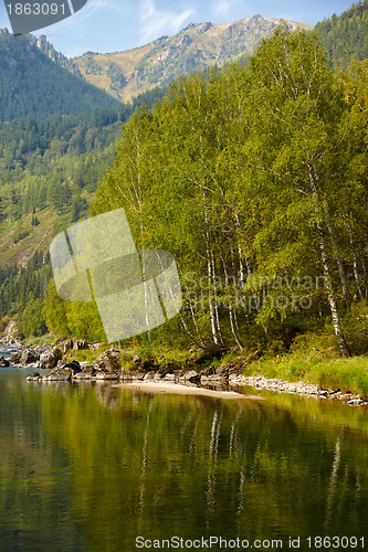 Image of Altai river Kumir