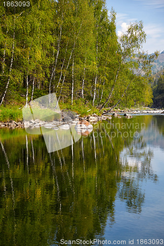 Image of Altai river Kumir