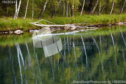 Image of Altai river Kumir