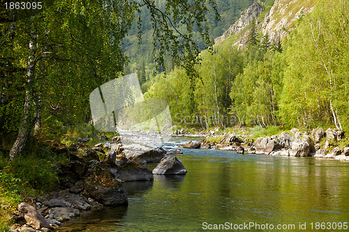 Image of Altai river Kumir