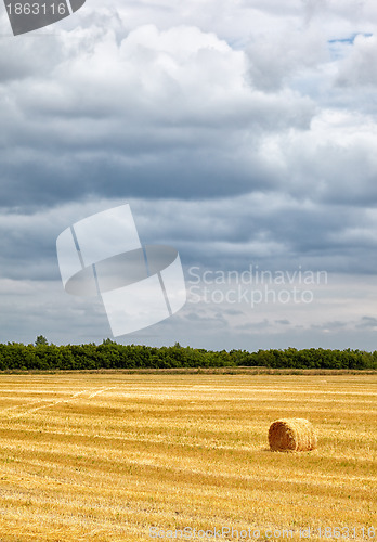 Image of Steppe Altai landscape