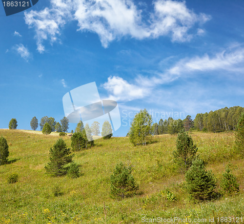 Image of Altai meadows