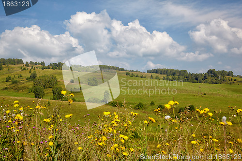 Image of Altai meadows