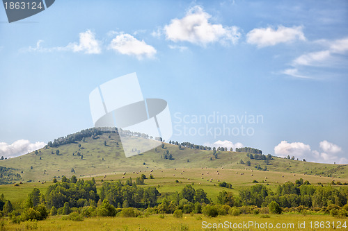 Image of Altai meadows