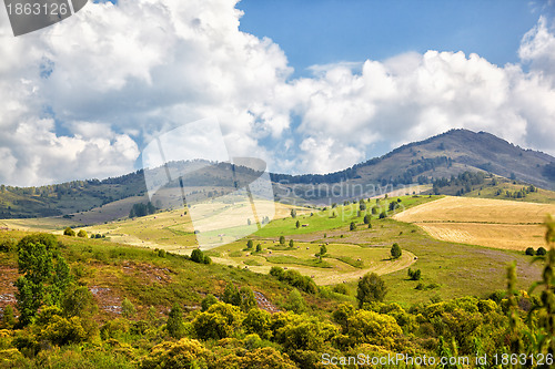 Image of Altai meadows