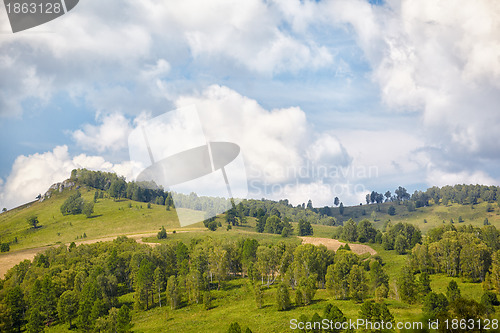 Image of Altai meadows