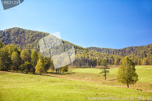 Image of Altai meadows