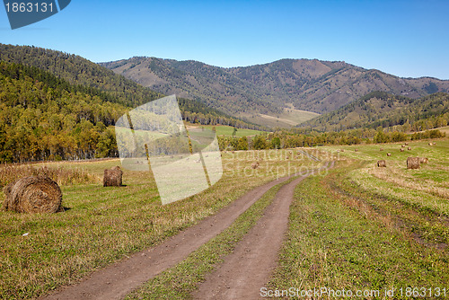 Image of Altai road