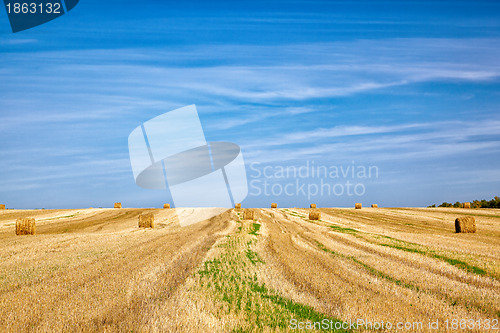 Image of Steppe Altai landscape