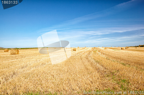 Image of Steppe Altai landscape