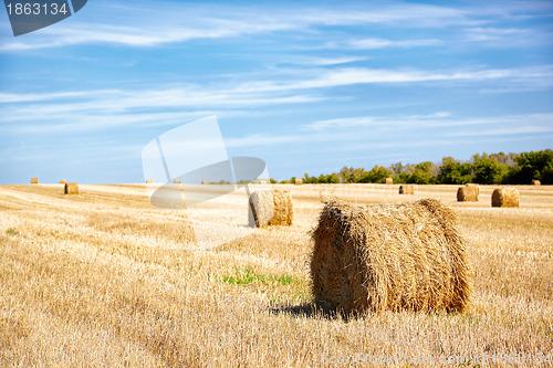 Image of Steppe Altai landscape