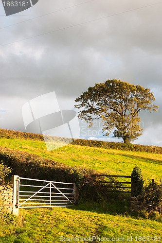 Image of In Yorkshire Dales