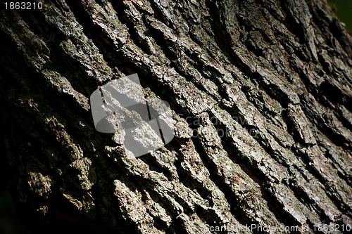 Image of Dark Wood Background