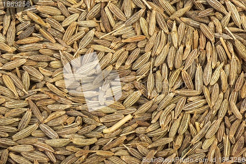 Image of Zeera seeds close-up
