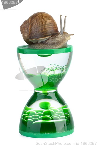 Image of Snail and gel hourglass