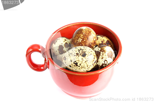 Image of quail eggs in red mug