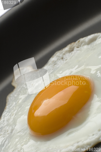 Image of egg