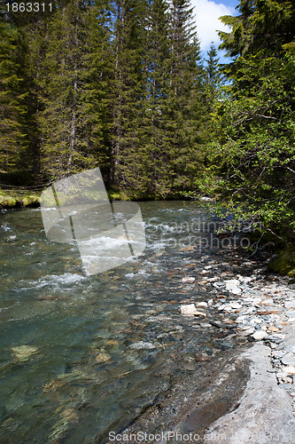 Image of Out in the Norwegian wilderness