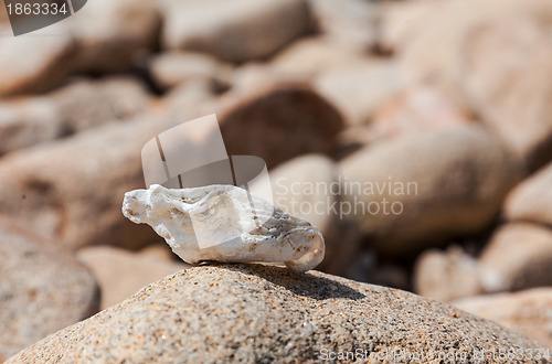 Image of Brittany abstract