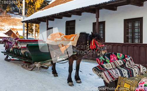 Image of Traditional Romanian Sledge with Horse