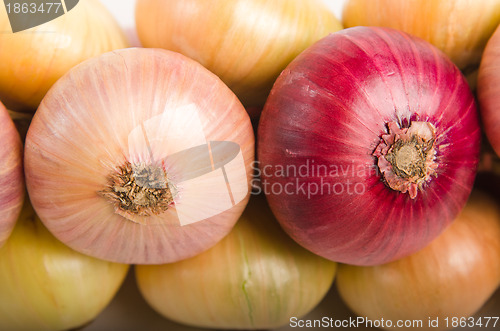 Image of Sheaf of an onions, close up