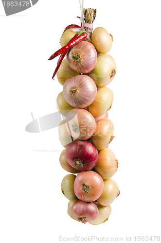 Image of Sheaf of an onions, it is isolated on white