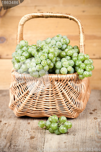 Image of basket with fresh green grapes 